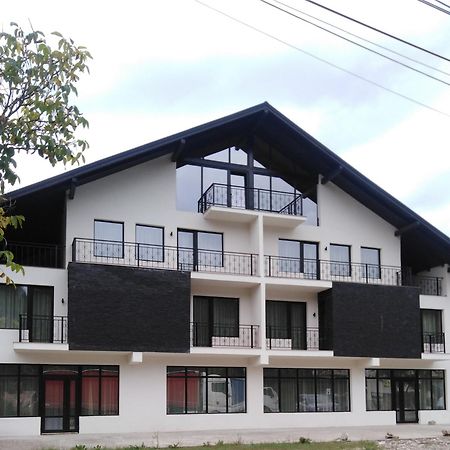 Danifeld Inn Voroneț Kültér fotó